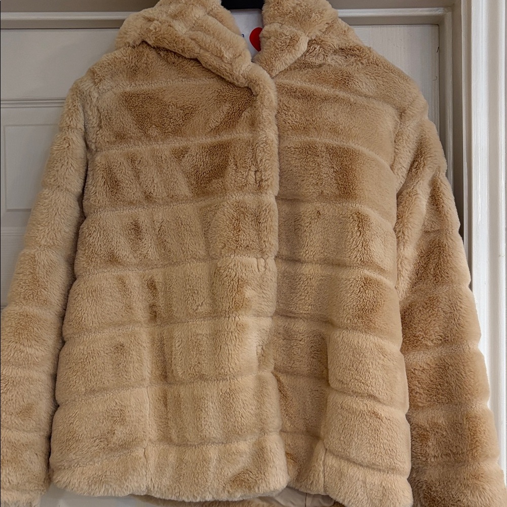 Apparis jacket